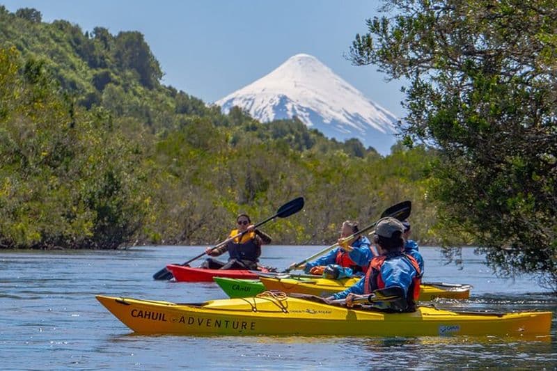 Faites du kayak dans la forêt engloutie de la rivière Maullín