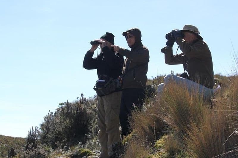 Billet Tour d'observation des oiseaux dans le parc national de Cajas de Cuenca