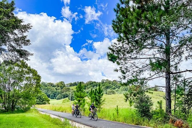 Location de vélos E Premium pour le Northern Rivers Rail Trail
