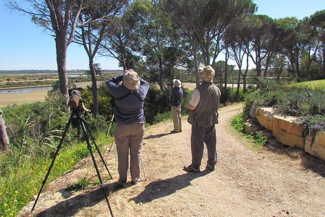 Journée d'observation d'oiseaux dans le Parc Naturel de Ria Formosa