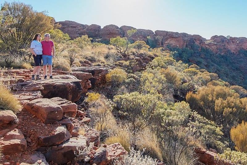 Billet Excursion d'une journée à Kings Canyon depuis Ayers Rock (Uluru)