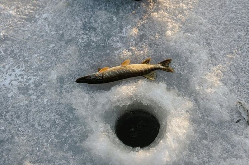 Festival de pêche sur glace de Séoul