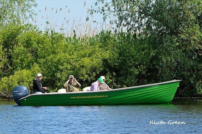 Billet Excursion guidée d'observation des oiseaux dans le Delta du Danube - programme privé