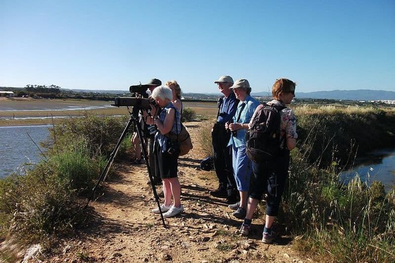 Billet Observation d'oiseaux à Ria de Alvor