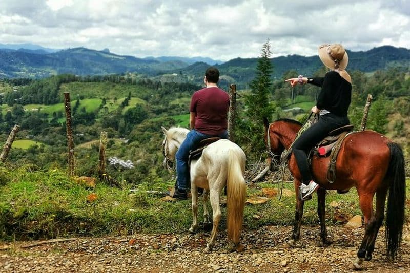 Balade à cheval à Medellin Visite privée: Superbes vues & chevaux