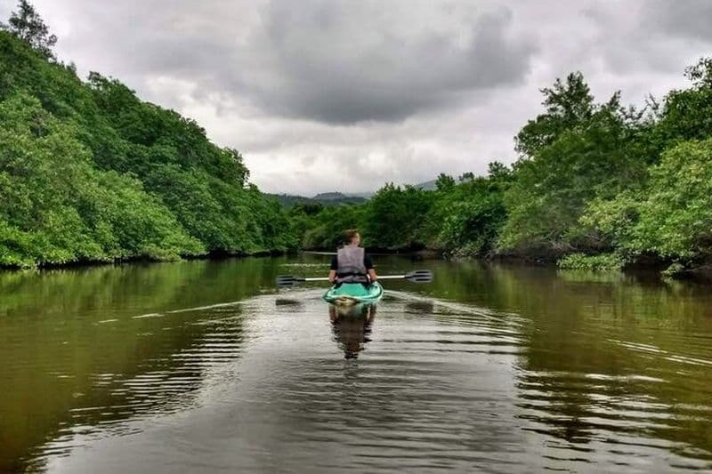 Kayak aux mangroves + Coucher de soleil à Paraty