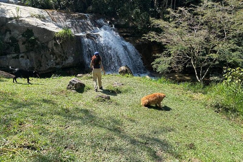 Antioquia Naturel : Retraite d'une journée avec yoga et rivière.