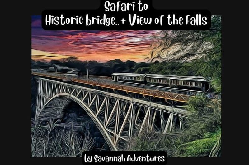 Safari à pied jusqu'aux chutes, au pont et au-delà avec Savannah