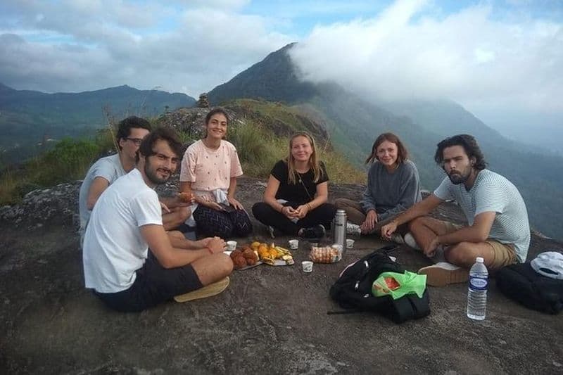 Billet Trekking d'une demi-journée (Trekking & Tours dans la vallée de Munnar)