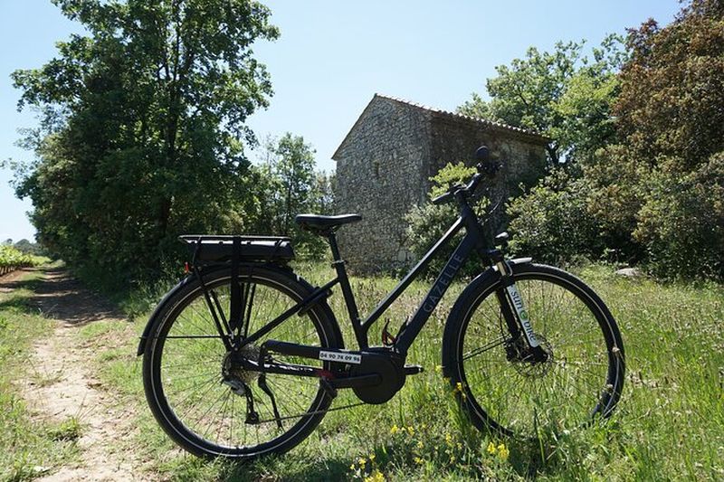 Location de vélos électriques à la journée dans les Alpilles