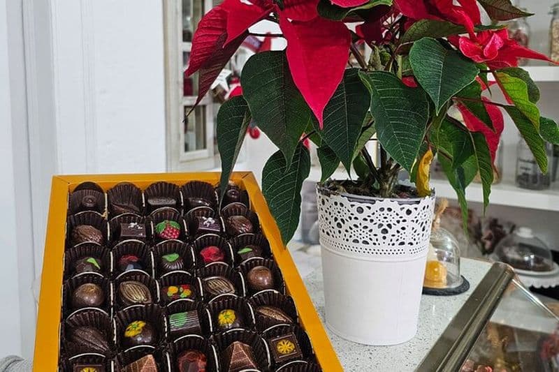 Billet Visite de Tavira Tuk Tuk - Visite du chocolat - Tavira City & Chocolate