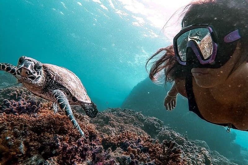 Excursion de plongée avec tuba sur l'île de Caño - Petit groupe, tout compris
