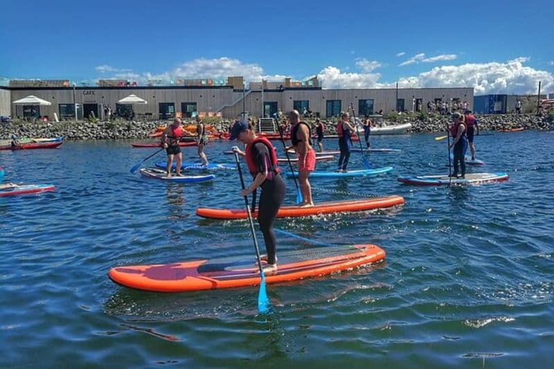 Location de Stand Up Paddleboard à Amager Beach