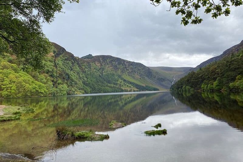 Excursion d'une journée au départ de Dublin : montagnes de Wicklow, Glendalough et Powerscourt
