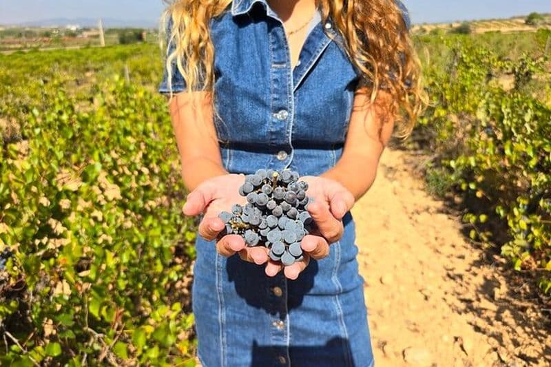 Excursion Utiel-Requena : découvrez les saveurs du vin de Valence