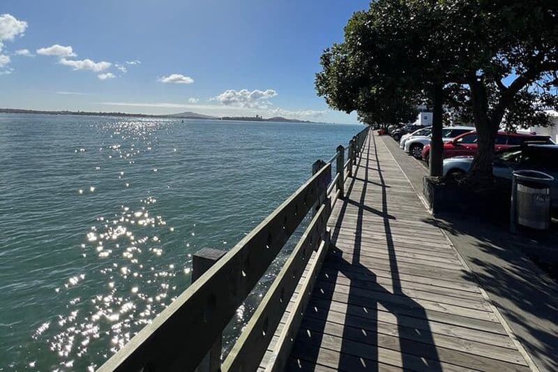 Chauffeur privé d'un jour au départ d'Auckland