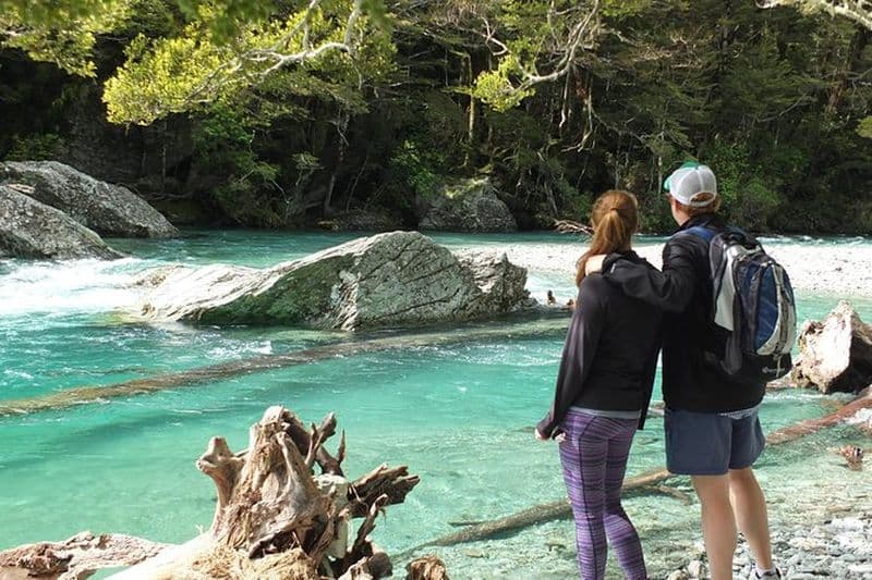 Randonnée d'une journée en petit groupe à Routeburn Valley
