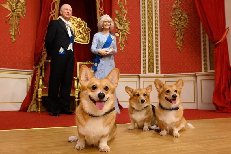 Billet d'entrée Madame Tussauds London