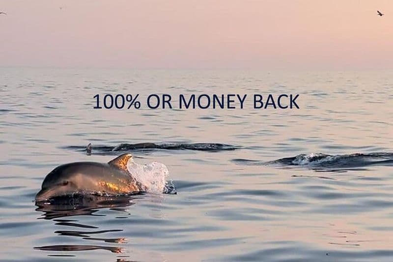 Aventure au coucher du soleil avec les dauphins avec hors-bord