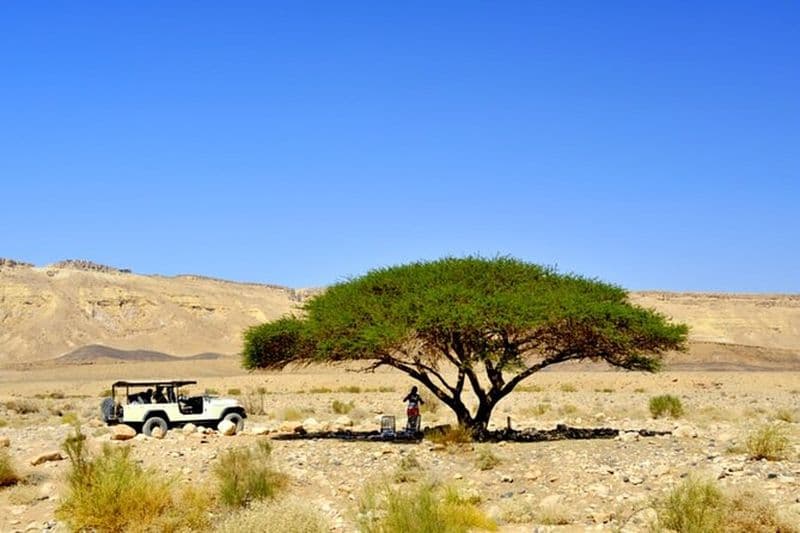 Safari dans le désert et excursion d'une journée au bord de la mer Morte au départ de Tel Aviv