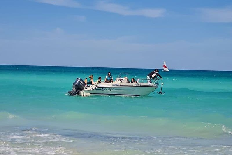 Sortie en Mer de 1H30 avec Baignade et Observation des Dauphins