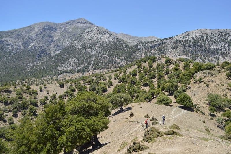 Trekking privé Rouvas Gorge