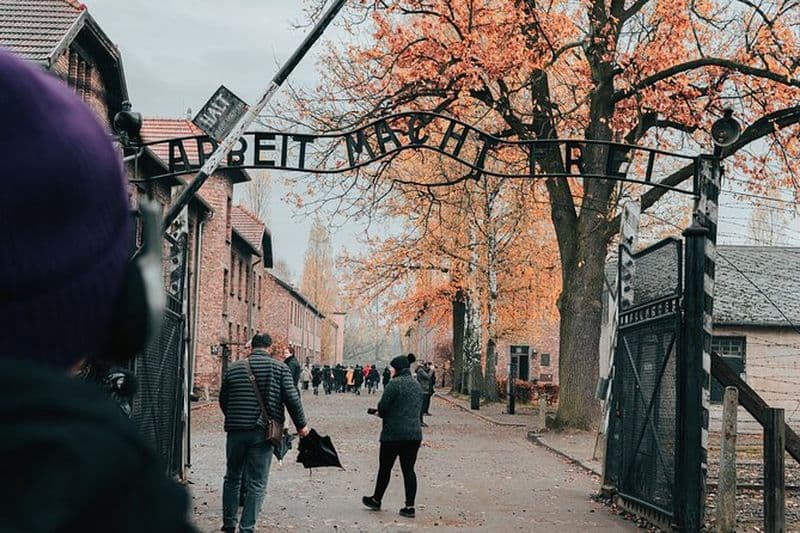Visite guidée d'Auschwitz Birkenau depuis Cracovie avec chauffeur privé