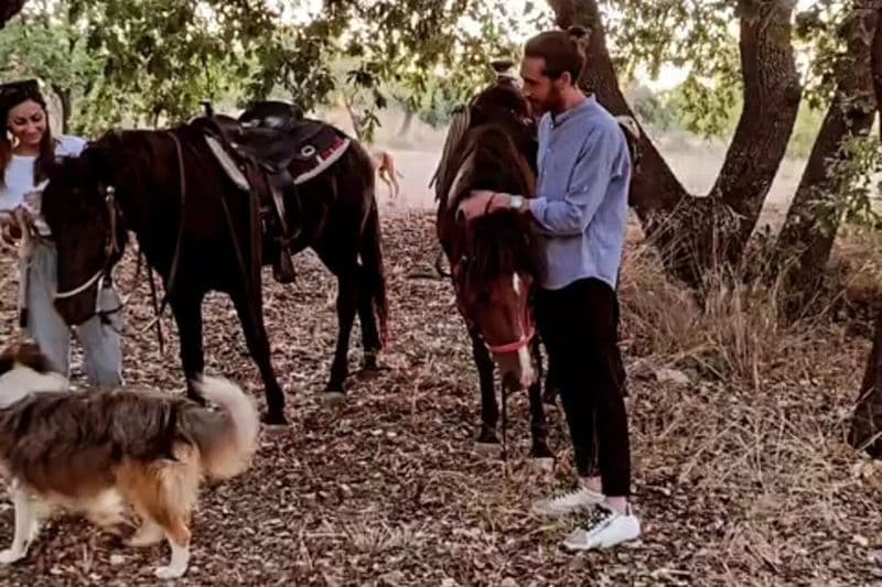 Randonnées pédestres et équestres