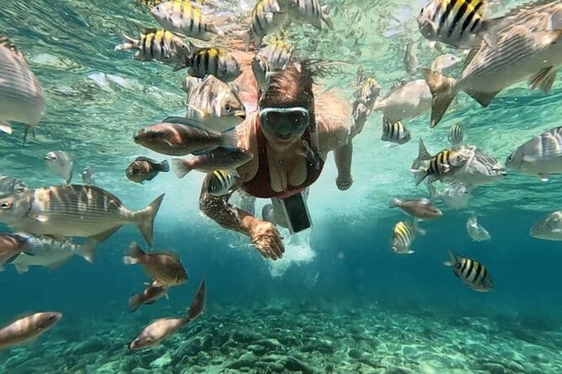 Excursion aux îles Rosario et à Playa Blanca avec plongée en apnée ou aquarium