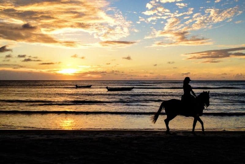 Carthagène : balade à cheval sur la plage en journée ou au coucher du soleil