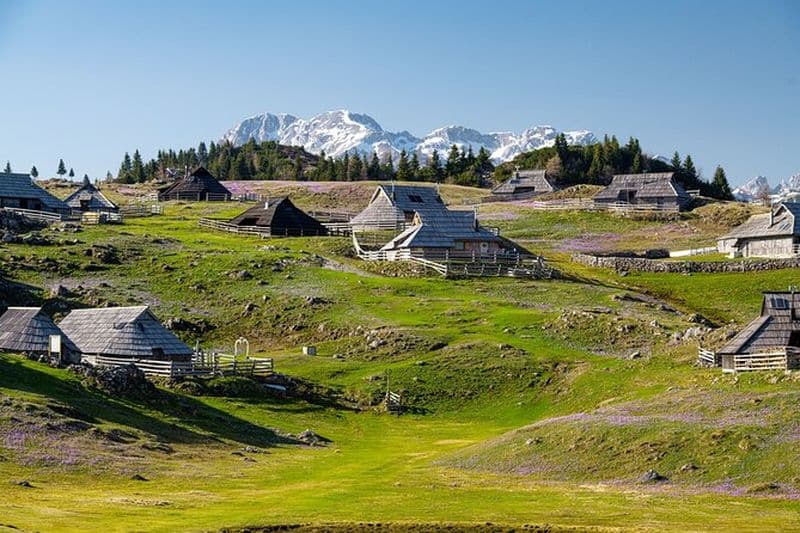 Velika Planina Randonnée guidée au départ de Ljubljana