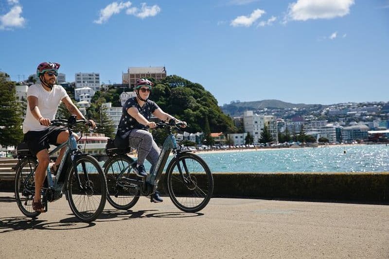 Location de vélos électriques Wellington