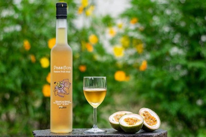 Billet Visite et dégustation de vins, de bières et d'hydromel de la vallée centrale du Costa Rica