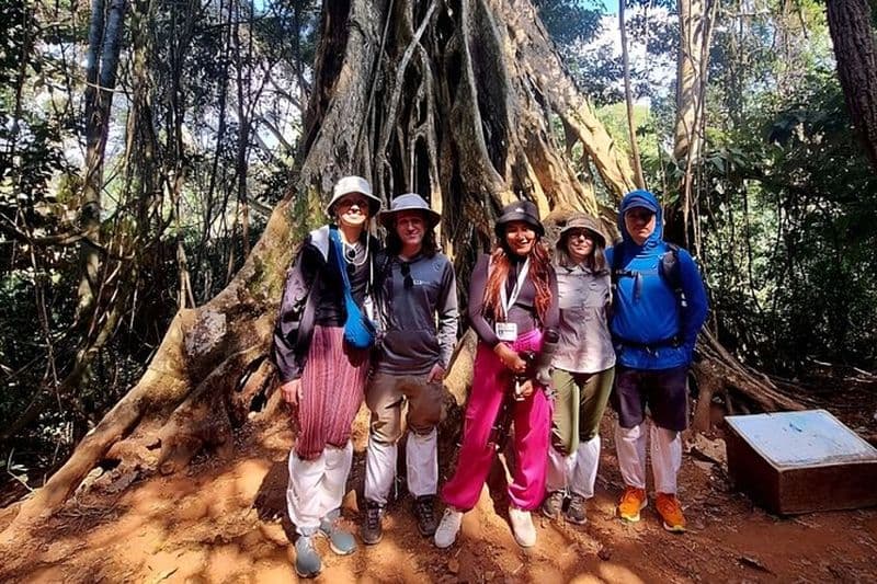 Haew Suwat Waterfall-Jungle Randonnée au KM 33 Nong Pak Chi