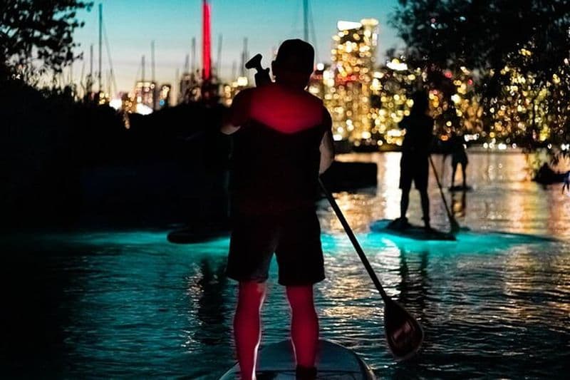 Billet Safari au coucher du soleil : excursion en soirée en SUP/kayak à Toronto