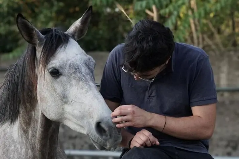 Pompéi privé, équitation et visite du déjeuner avec ramassage inclus