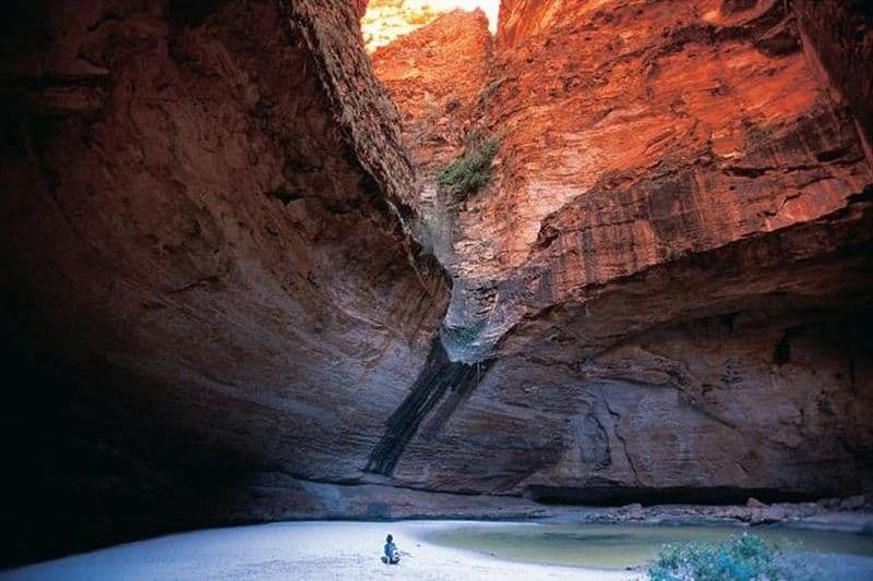 Excursion d'une journée en Bungle Bungle au départ de Broome - Mouche, 4x4, Marche
