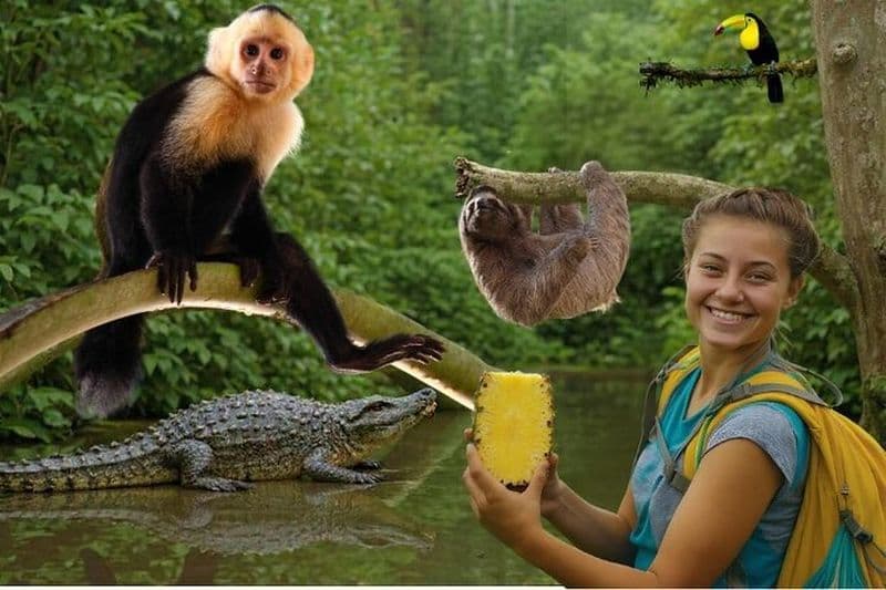 Safari animalier en bateau sur le canal + marché aux fruits