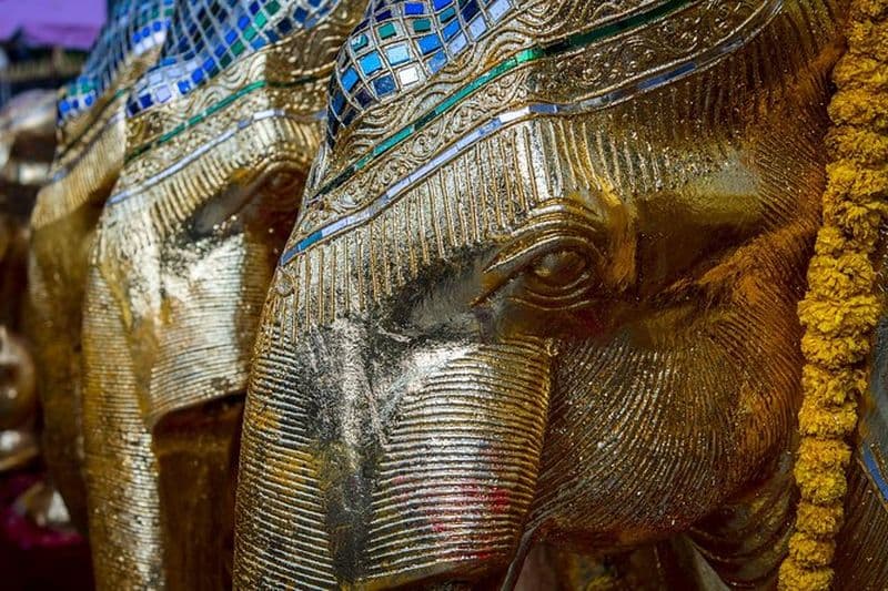 Billet Cours de photographie privé à Bangkok