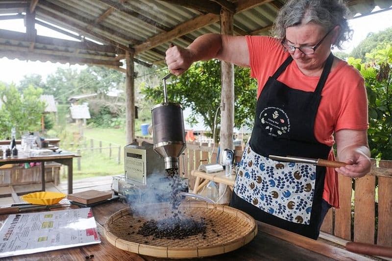Visite du café à Chiang Mai : trekking à la ferme, atelier de torréfaction et de brassage