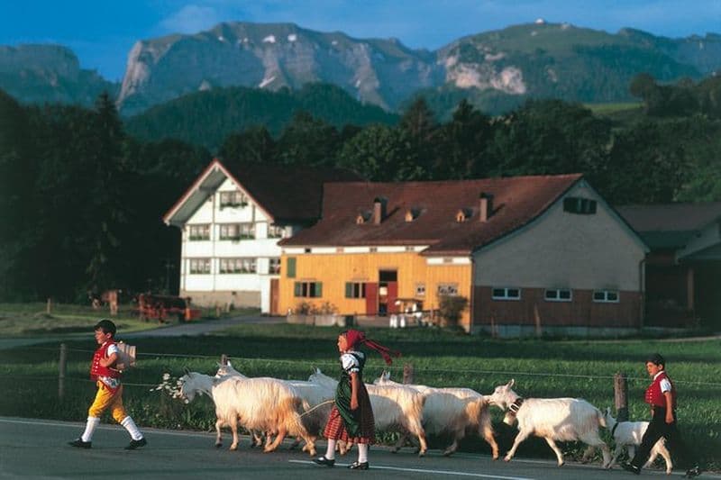 Excursion d’une journée dans les Alpes d’Appenzell au départ de Zurich – Vie à la ferme et dégustation de fromage