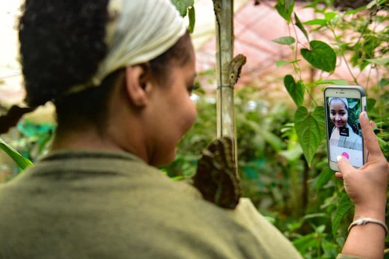 Mindo : observation des oiseaux, chocolat, cascade et aventure
