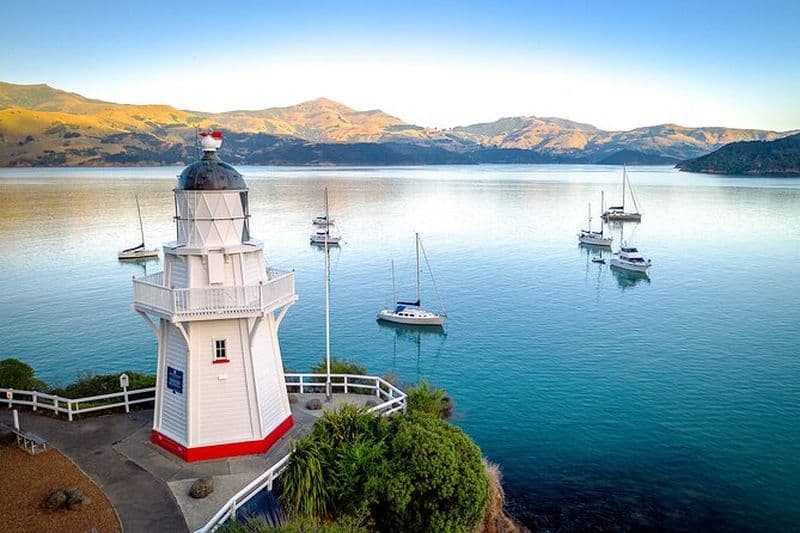 Billet Akaroa avec croisière optionnelle sur les dauphins (Excursion en petit groupe)
