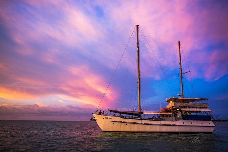 Cap Adieu Darwin Dîner-croisière