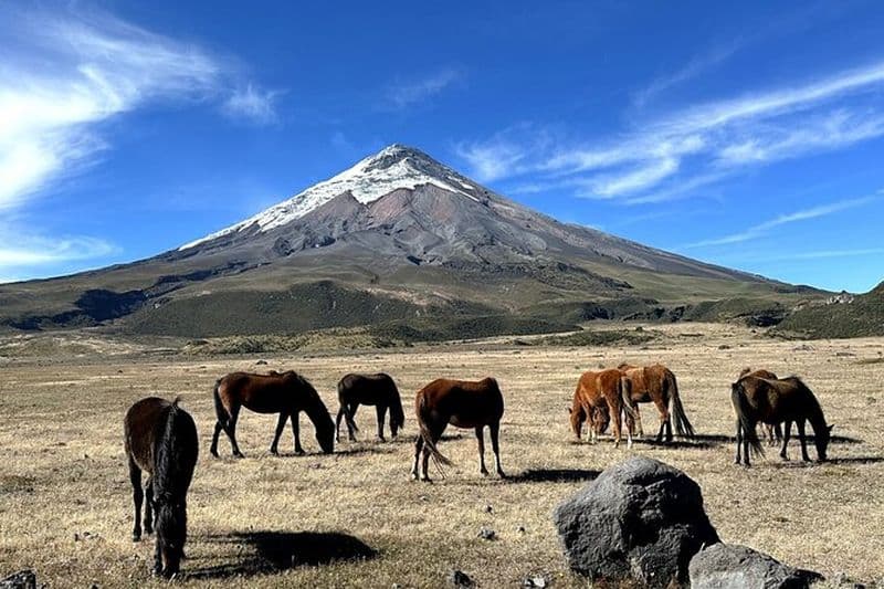 Cotopaxi National Park & Papallacta Spa – Aventure et détente
