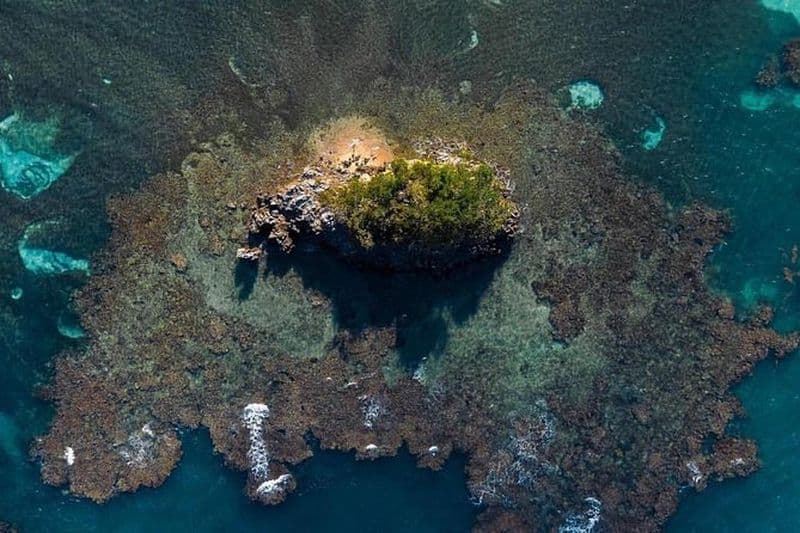Parc national de Los Haitises Kayak privé de 4 heures Mangroves et grotte