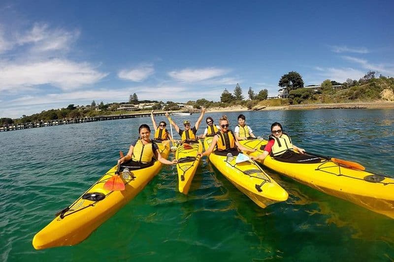 Billet Mornington Peninsula Kayak Coastline Tour du Sanctuaire des dauphins