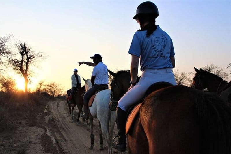 Billet Aravali Trail Experience (Zone forestière Jungle Safari) - Équitation