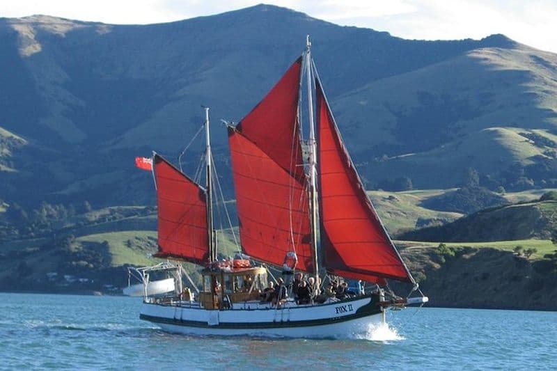 Excursion de voile et de faune Akaroa Fox II Sailing