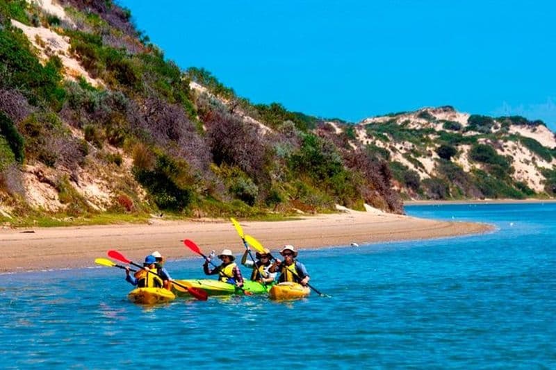Billet Excursion d'une journée en kayak dans le parc national de Coorong